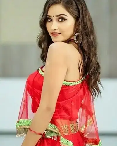 Call Girls Service Chomu